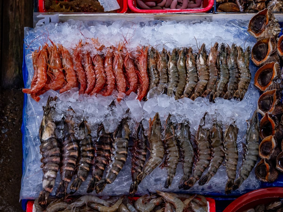 Pescados y mariscos frescos sobre hielo de CAMARS Alimentos